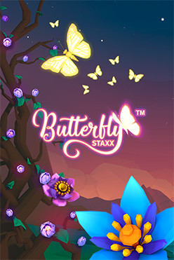 Butterfly Staxx Butterfly Staxx
